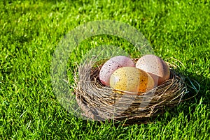 Colored eggs in nest on grass background. Easter, Spring holidays