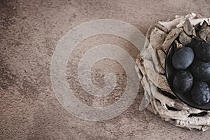 Colored eggs in a nest on a white background