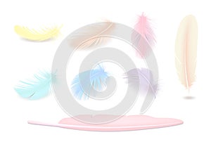 Colored Feathers Set
