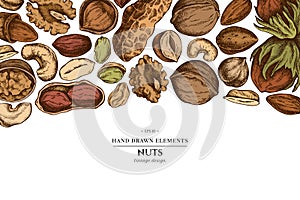 Colored elements design with cashew, peanut, pistachio, hazelnut, almond, walnut