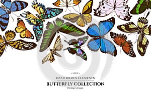 Colored elements design with morpho menelaus, cethosia biblis, papilio antimachus, alcides agathyrsus, ornithoptera