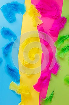 Colored feathers on an arranged colorful paper background