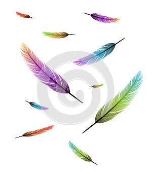 Colored feathers falling background