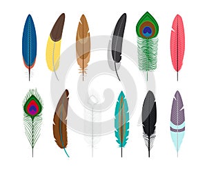 Colored feathers icons