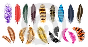 Colored feathers. Realistic decorative fluffy plumage, 3D isolated falling swan, parrot and goose feather set. Bright