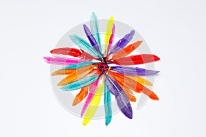 Colored feathers on white background, forming a circle shape or sun shape whera each feather acts like a sunray photo