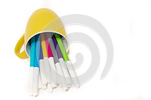 Colored felt tip pens isolated on white background. Different flowers