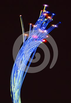 Colored fiber optic