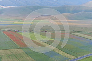 Colored fields in Piano Grande, Monti Sibillini NP, Umbria, Ital