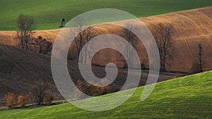 Colored fields of Turiec region, Slovakia