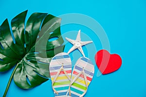 Colored flop flops sandals and palm leaf