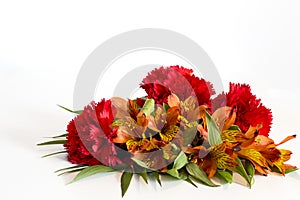 Colored flower for any ocassion