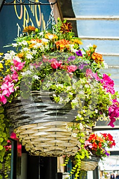 Colored flower displays outside shops on Lord Street Southport UK