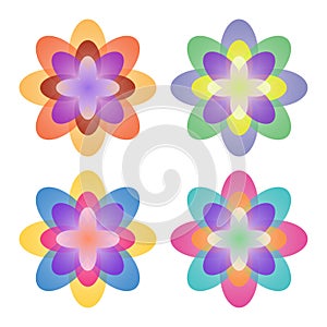 Colored flower illustration