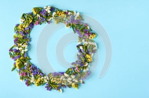 Colored flowers on blue background composition, circle shape. Flat lay