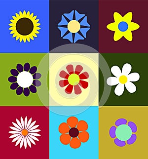 Colored Flowers into squares Vector set photo