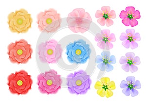 Colored flowers of three kinds on a white background. Objects for vector illustration.