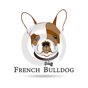 Colored French Bulldog Head design