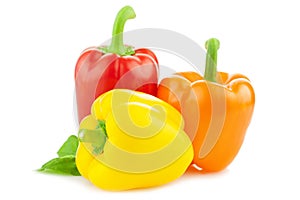 Colored Fresh Peppers / Paprika / Isolated