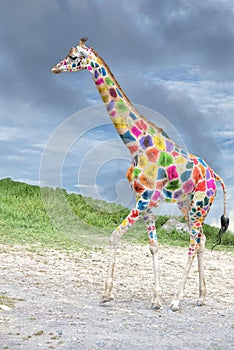 Colored Giraffe coming to you on deep blue sky background