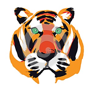 Colored head of a tiger. Abstract drawing of a tiger on a white background. Isolated. Tiger - a symbol of 2022