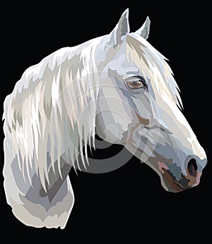 Colored Horse portrait-6