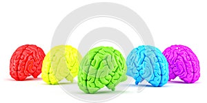 Colored human brains. Creative concept. Isolated. Contains clipping path