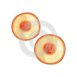 Colored icon of human cell in round shape with single nucleus. Structure of microorganism. Flat vector design element