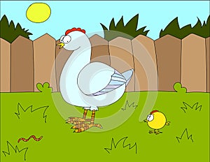 Colored illustration background of a chicken
