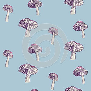 Colored image of poisonous fly agaric mushrooms. Seamless pattern