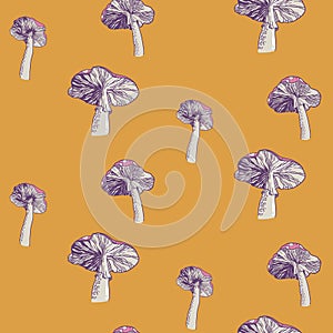 Colored image of poisonous fly agaric mushrooms. Seamless pattern