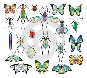 Colored insects isolate on white. Bugs and butterflies vector pictures set