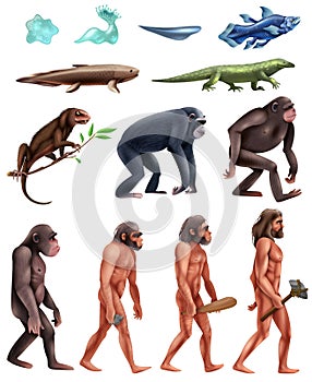 Darwin Evolution Icon Set photo