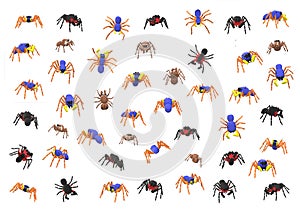 Colored jumping spiders in a 3D illustration