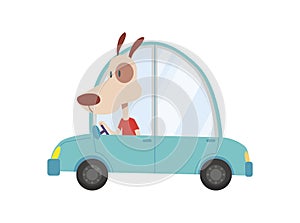 Colored kids transport with cute little dog. Animal driving car. Cartoon animal driver, pets vehicle and happy in funny