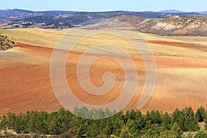 Colored landscape in Serrania de Cuenca mountain in Spain