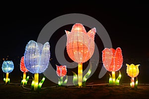 Colored LED light flower