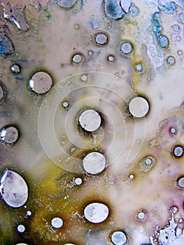 Colored liquid water and oil drops photo