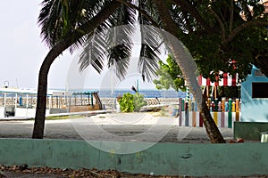 Colored maldivian harbor with palms