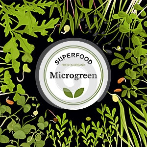 Colored Microgreen Frame photo