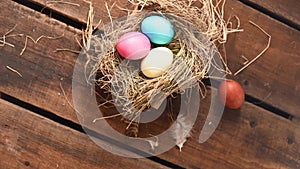 Colored onion husks are Easter eggs in a nest, chicken Feather. Traditions Orthodoxy religion.