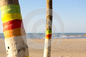 Colored palm trees and beach in Colombia