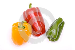 Colored paprika photo