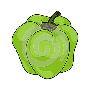 Colored paprika (pepper). Vector