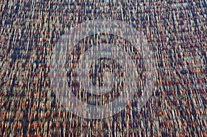 Colored papyrus mat texture