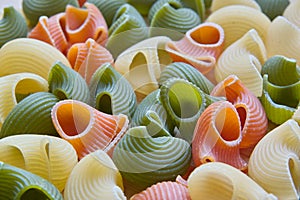 Colored pasta shells