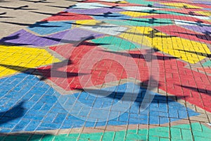 Colored paving slabs and bird shadows. Colorful background