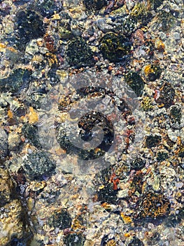 Colored pebbles under water at the coast of Mediterranean sea.