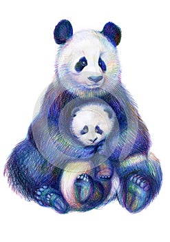 Colored pencils drawing rainbow panda bears family