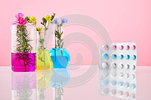 Colored pills and test tubes with plants on a pink background. Concept of natural organic drug and laboratory research